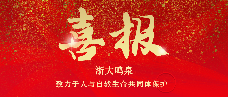 浙大九游（中国）顺利通过安全生产标准化三级企业验收复审